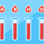 [:bg][:en]Blood type[:]