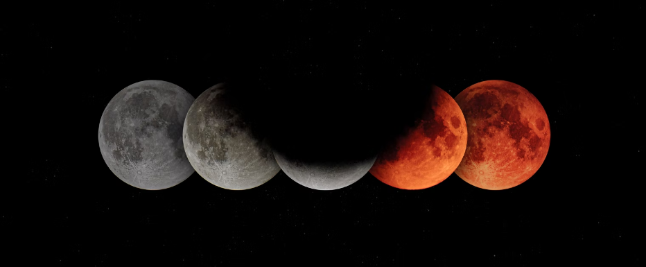 What is a Moon Diet and How to Follow It?